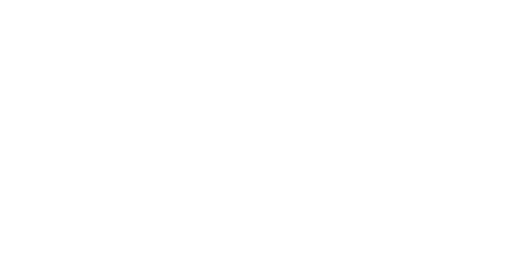logo_stihl_blanc